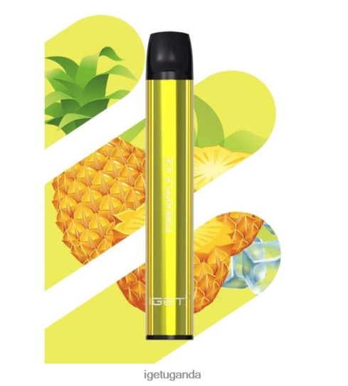 IGET SHION - 600 PUFFS F02404544 Pineapple Ice | Iget Vapes Online