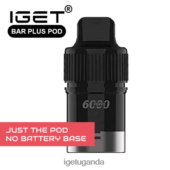 IGET BAR PLUS - POD ONLY - BLACK FOREST - 6000 PUFFS (NO BATTERY BASE) F02404670 Onlyblack Forest | Iget Vape