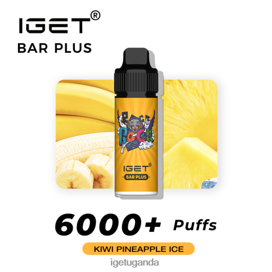 IGET Bar Plus 6000 Puffs F02404234 Kiwi Pineapple Ice | Iget Bar Store