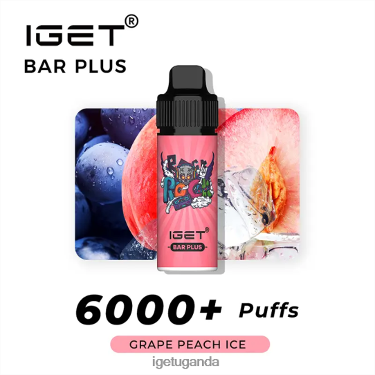 IGET Bar Plus 6000 Puffs F02404236 Grape Peach lce | Iget Vape Sale