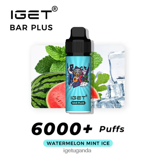 IGET Bar Plus 6000 Puffs F02404248 Watermelon Mint Ice | Iget Wholesale