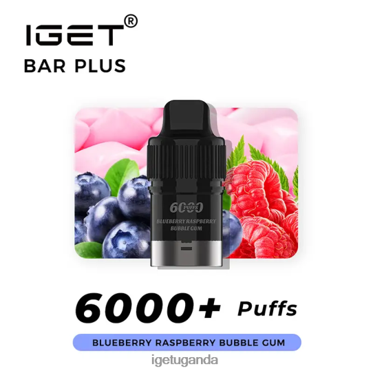IGET Bar Plus Pod 6000 Puffs F02404252 Blueberry Raspberry Bubble Gum | Iget Vapes Online