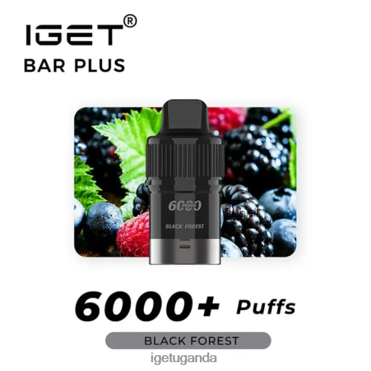 IGET Bar Plus Pod 6000 Puffs F02404265 Black Forest | Iget Sale