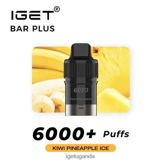 IGET Bar Plus Pod 6000 Puffs F02404270 Kiwi Pineapple Ice | Iget Vape Price